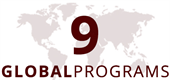 global programs
