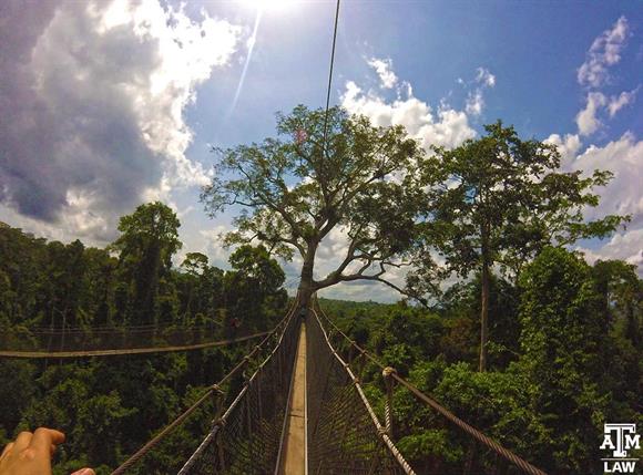 Ghana Kakum Forest canopy walkway