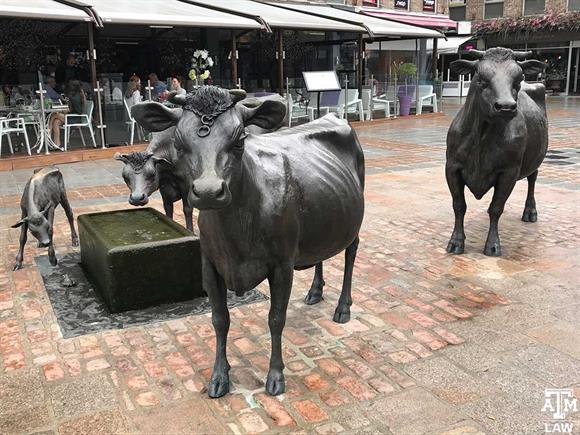Jersey cattle sculpture