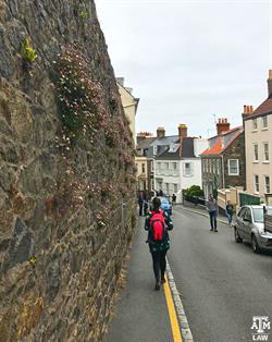 Guernsey walk