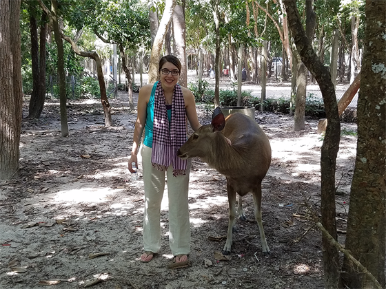 Deer in Cambodian wildlife rescue center