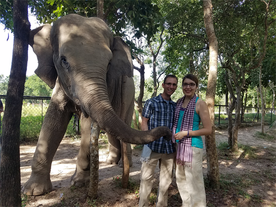 Elephant in Cambodian wildlife rescue center