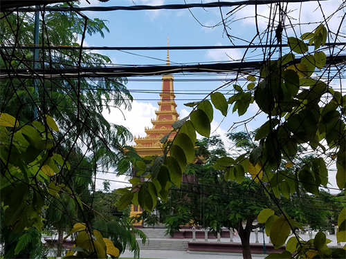 greenery, wires & architecture in Cambodia
