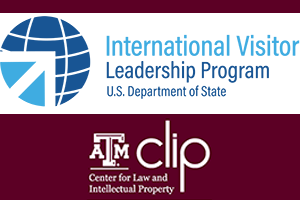 IVLP and CLIP