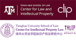 TAMU CLIP and Tsinghua Univ logos