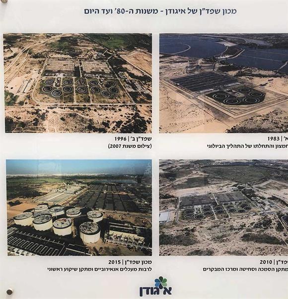 Israel Shafdan 1983-2015