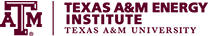 Texas A&M Energy Institute Logo