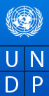 UN Development Programme logo