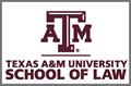 TAMU Law lockup stack logo with gray thumbnail